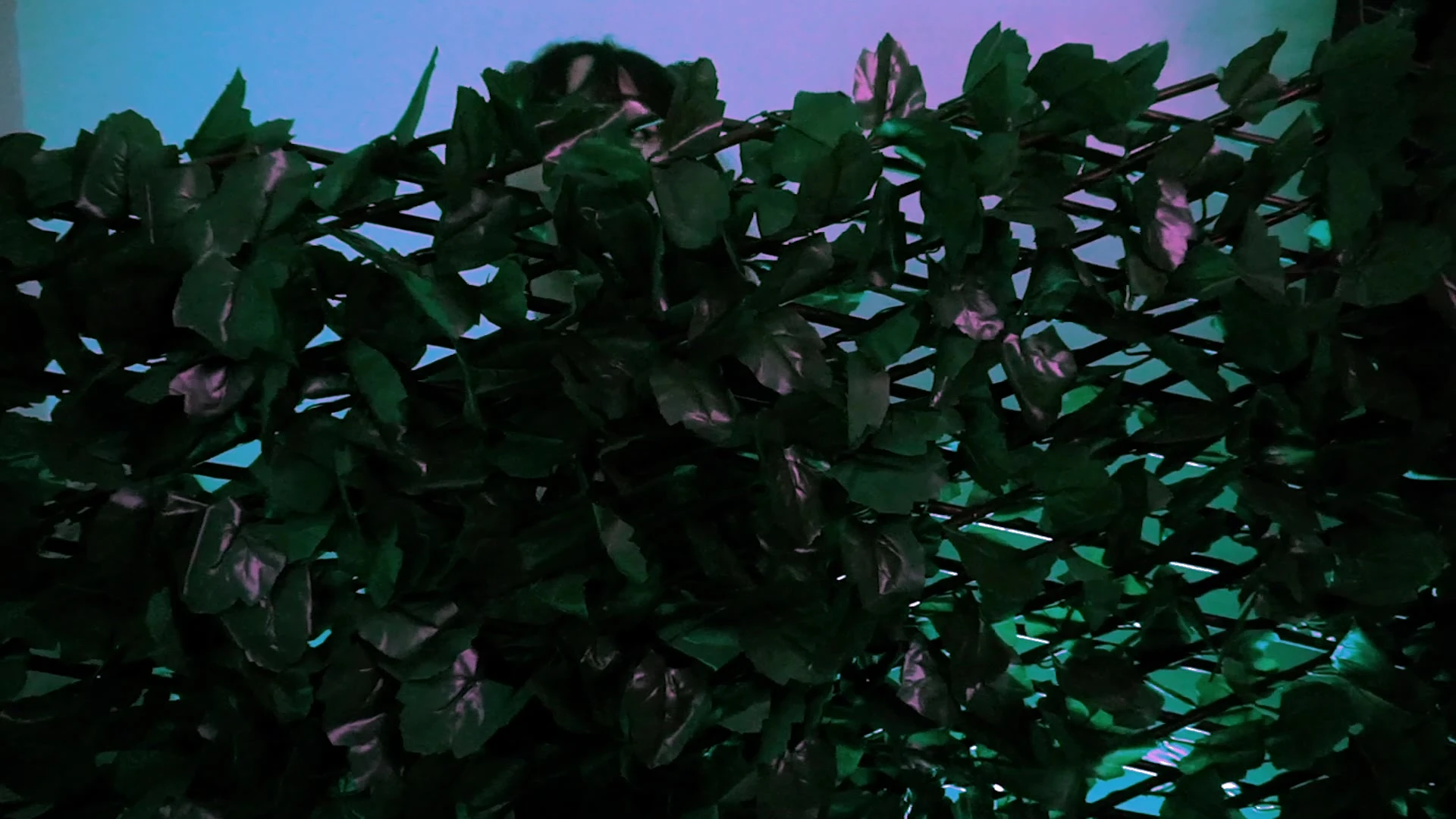 Inspiring  Bitch Mama Fiona nude leaks EPIC