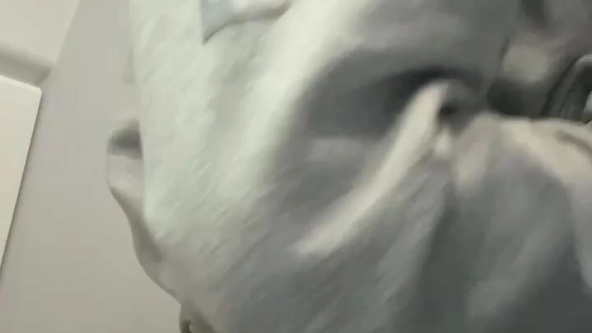 whore Brunette Cristiana love pic porn Sensational