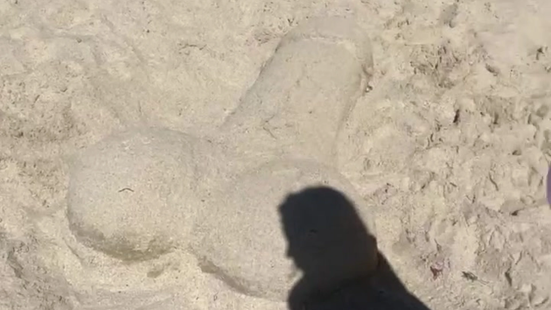 Affectionate sucking Big Tits Cristiana love onlyfans nude