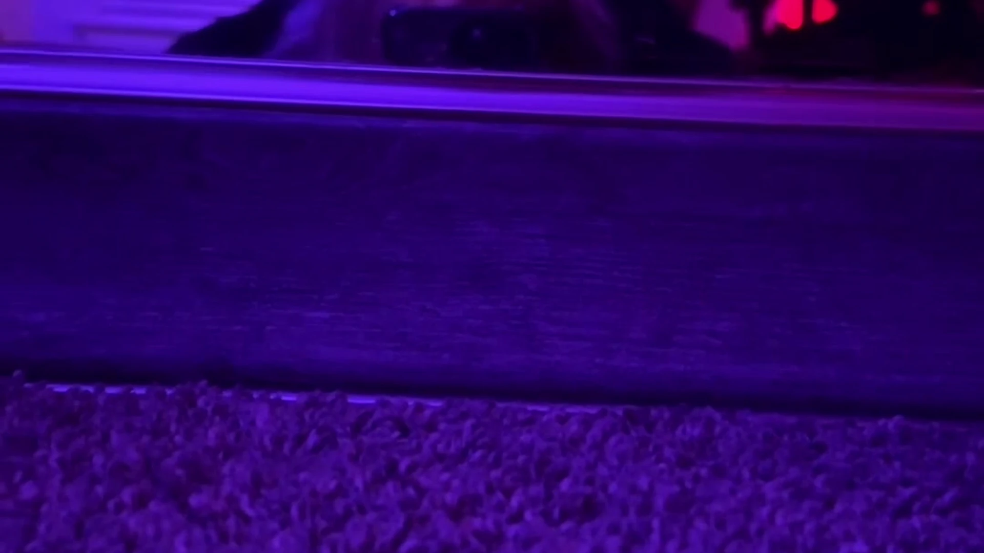 Sensational Huge Tits Whiptrax nude porn leak