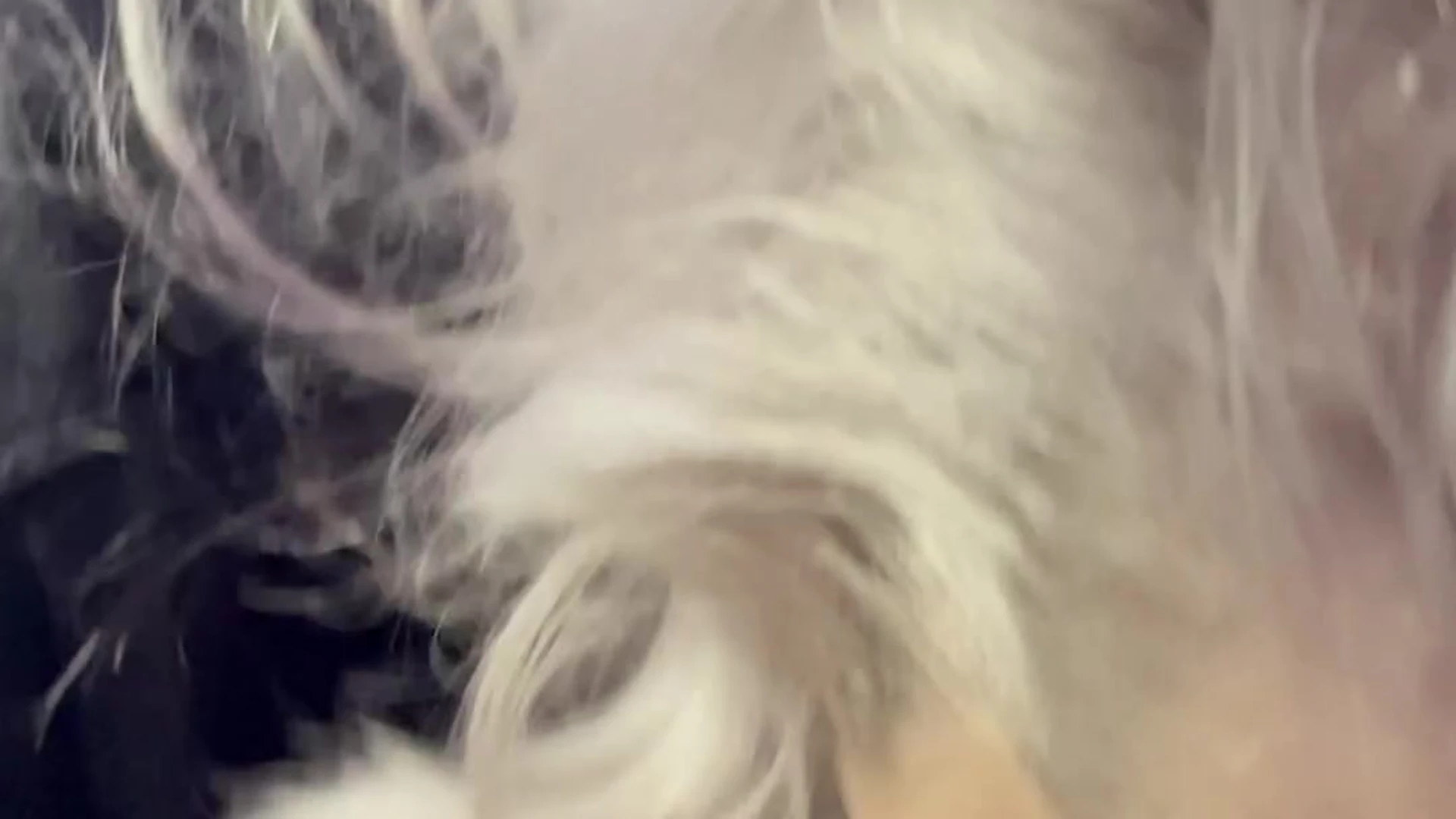 beautiful Sweating Hot Whiptrax Nude Patreon